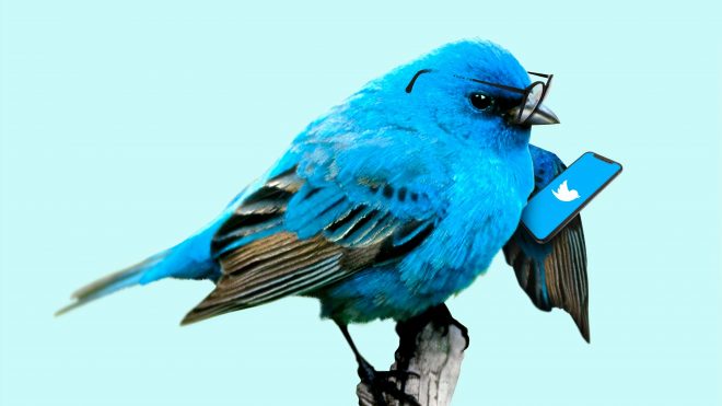 Zinledige twitterij
